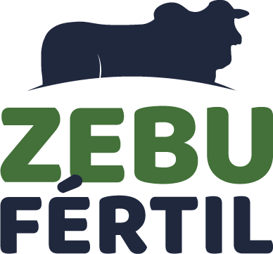 Zebu Fertil